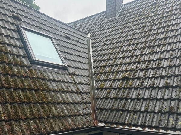 Dachziegel von Moos befreien: Dachfläche mit dichtem Bewuchs vor der Reinigung